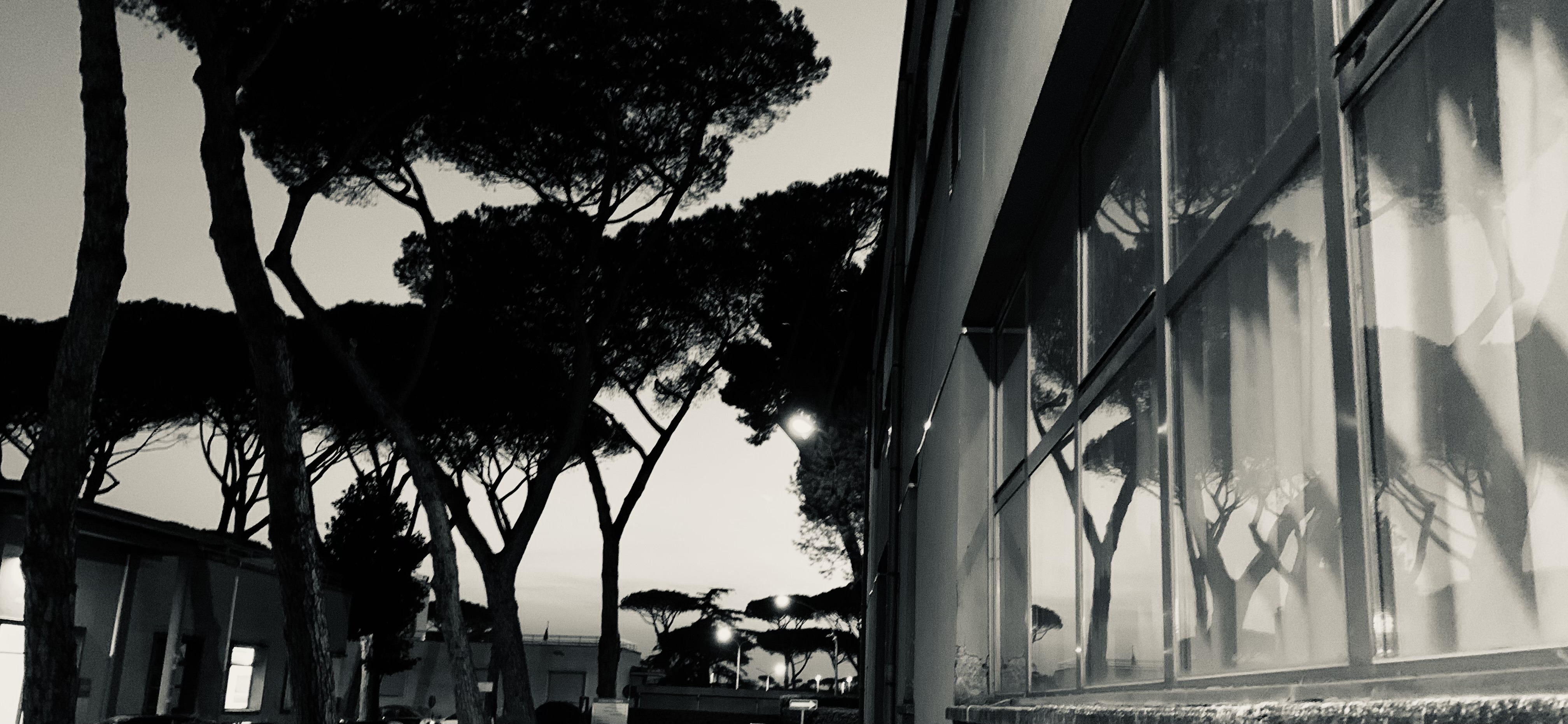 Rome photo